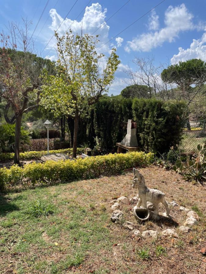 Villa Herlinda Costa Brava - With Swiming Pool Massanet De La Selva Exterior foto