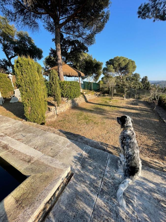Villa Herlinda Costa Brava - With Swiming Pool Massanet De La Selva Exterior foto